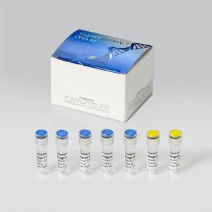 REAGENT KIT DNA