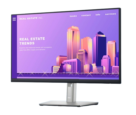 DELL MONITOR P2422H